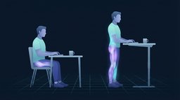One adult seated at a desk typing beside a second adult typing at the same desk raised to standing height, the standing figure's calves, thighs, glutes and lower back glowing as the postural muscles holding them upright