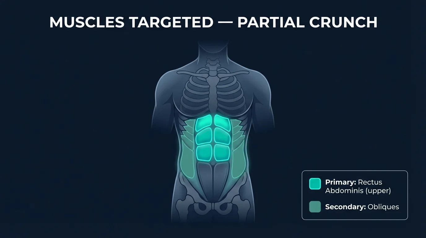 Partial crunch muscles activated: rectus abdominis (upper portion emphasis) as the primary mover with obliques as secondary stabilizers and the diaphragm and pelvic floor as deep-core canister support