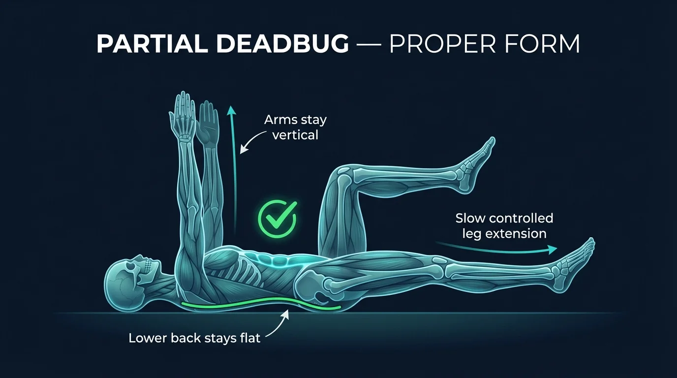 Partial deadbug proper form showing supine position with arms vertical above shoulders, one knee held at 90 degrees, and the opposite leg slowly extending toward the floor while the lower back stays pressed flat