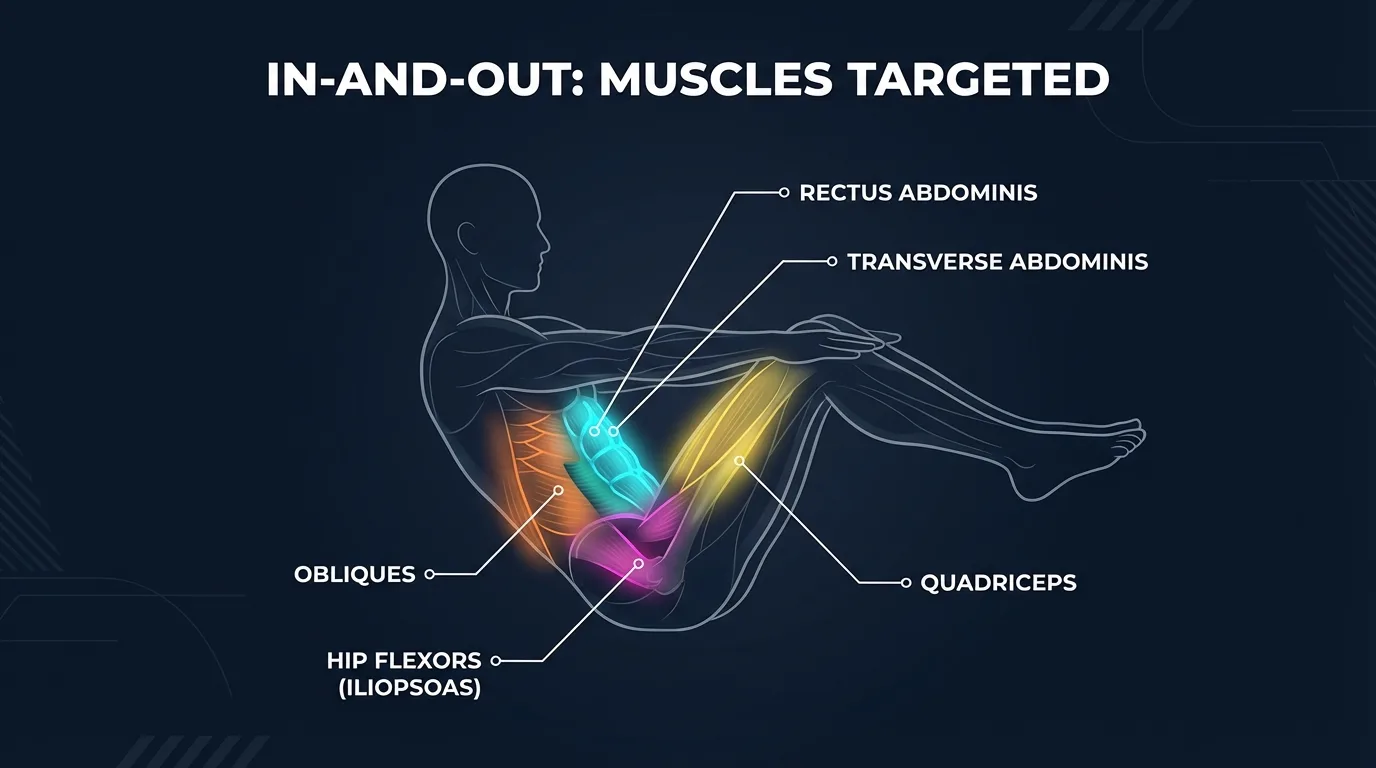 Muscles activated during in-and-outs: rectus abdominis (full length, primary mover), transverse abdominis (deep stabilizer), obliques (anti-rotation), and hip flexors (iliopsoas, rectus femoris) driving the leg movement, with quadriceps and erector spinae as secondary stabilizers