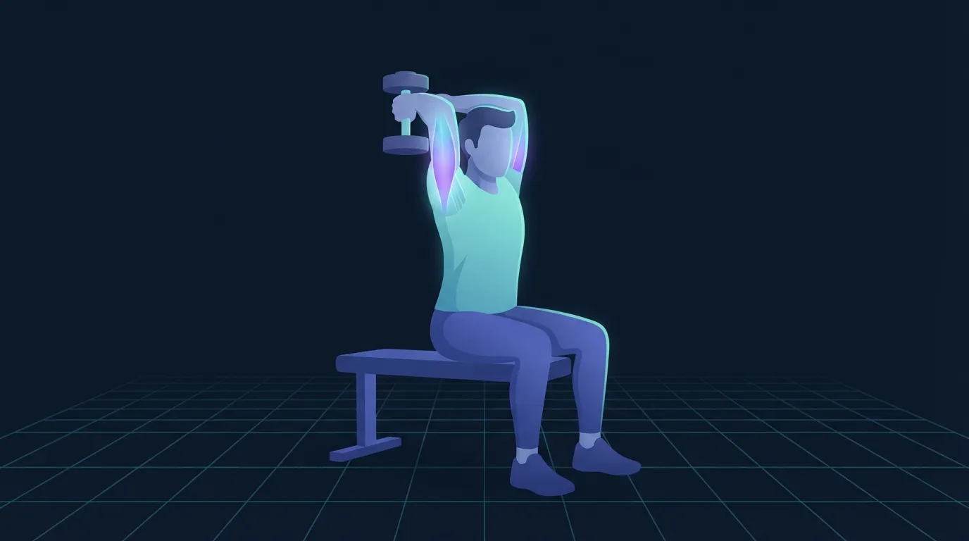 A seated lifter performing an overhead dumbbell triceps extension with the long head of the triceps glowing along the back of the upper arm