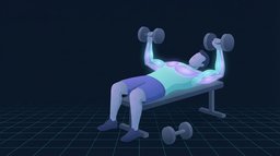 A lifter lying on a flat bench pressing two dumbbells overhead with the pectoralis major, anterior deltoid and triceps glowing