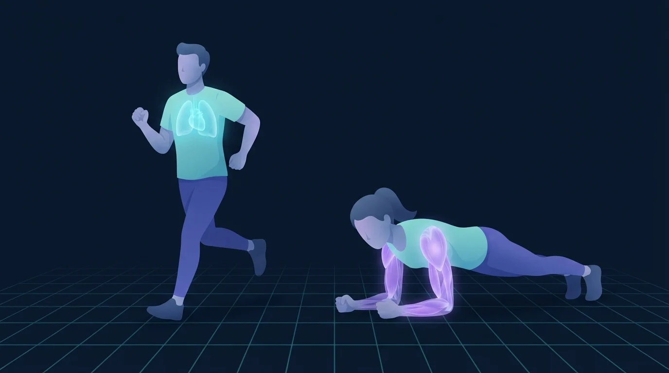 Two figures side by side, one running with the chest and lungs glowing and one holding a plank with the shoulders and core glowing, showing cardiovascular and muscular endurance as separate systems