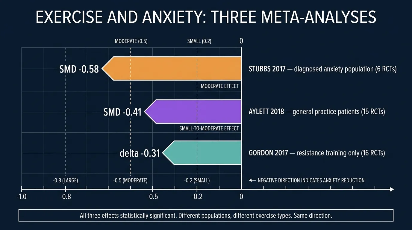 Bar chart comparing anxiety reduction effect sizes across meta-analyses. Stubbs 2017 in diagnosed anxiety shows SMD negative 0.58 moderate effect. Aylett 2018 in general practice shows SMD negative 0.41. Gordon 2017 resistance training shows delta 0.31.