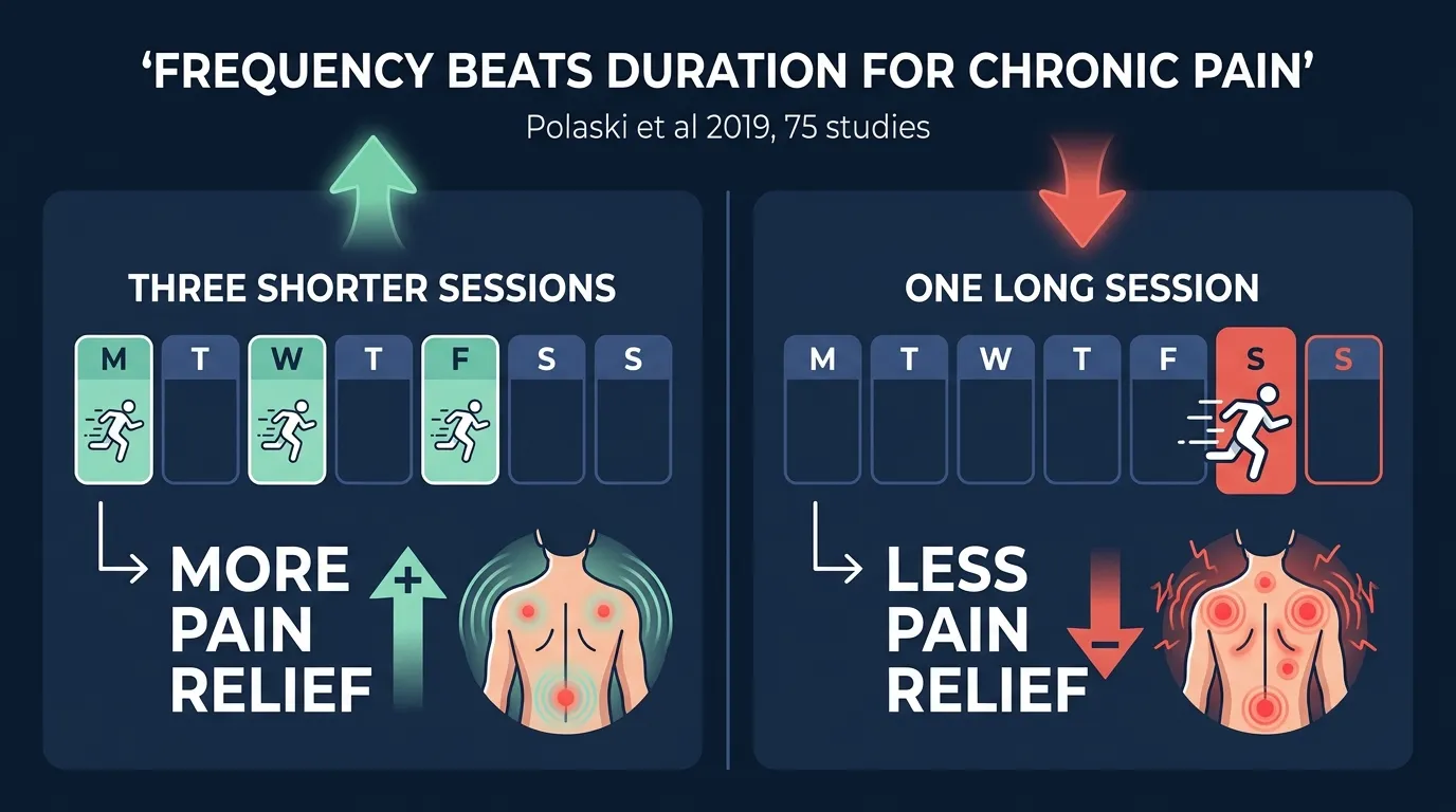 Weekly training frequency chart for chronic pain showing three moderate sessions per week outperforming one long weekend session. Illustration shows Polaski et al. 2019 finding that exercise frequency was the strongest predictor of pain reduction across 75 studies.