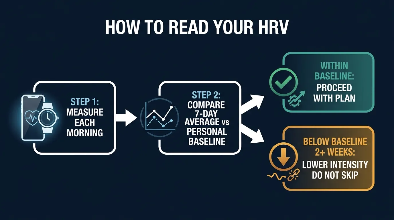 Concept illustration of a decision tree showing how to interpret HRV signals from daily noise to weekly rolling average compared against personal baseline with branches for stable trend continue plan or sustained drop reduce intensity