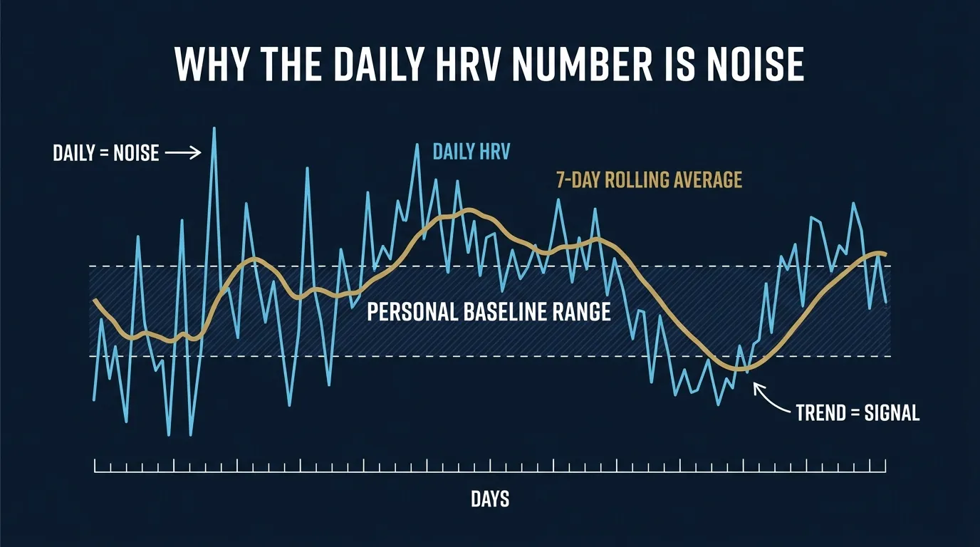 Concept illustration showing a noisy daily HRV line with large swings overlaid by a smoother 7-day rolling average line that more clearly tracks the underlying trend and baseline range