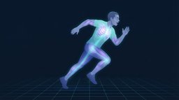 Illustration of a runner at full effort in profile with the heart, lungs and leg muscles glowing, showing the oxygen delivery chain that sets VO2 max