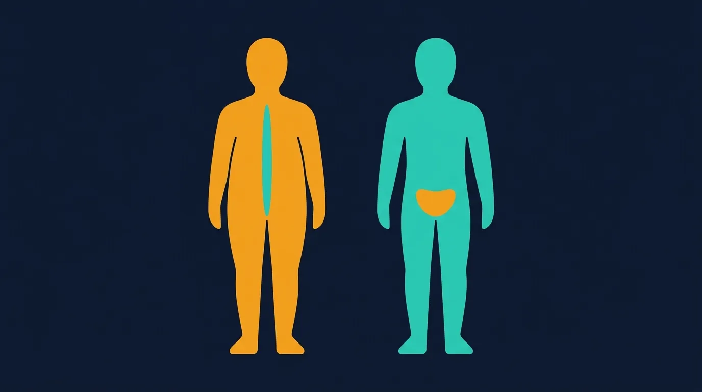 Conceptual illustration contrasting two body silhouettes at the same body weight, one with low muscle mass and above-normal fat and one with higher muscle mass and lower fat, illustrating that BMI does not distinguish composition