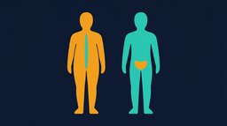 Skinny Fat: What the Research Actually Says