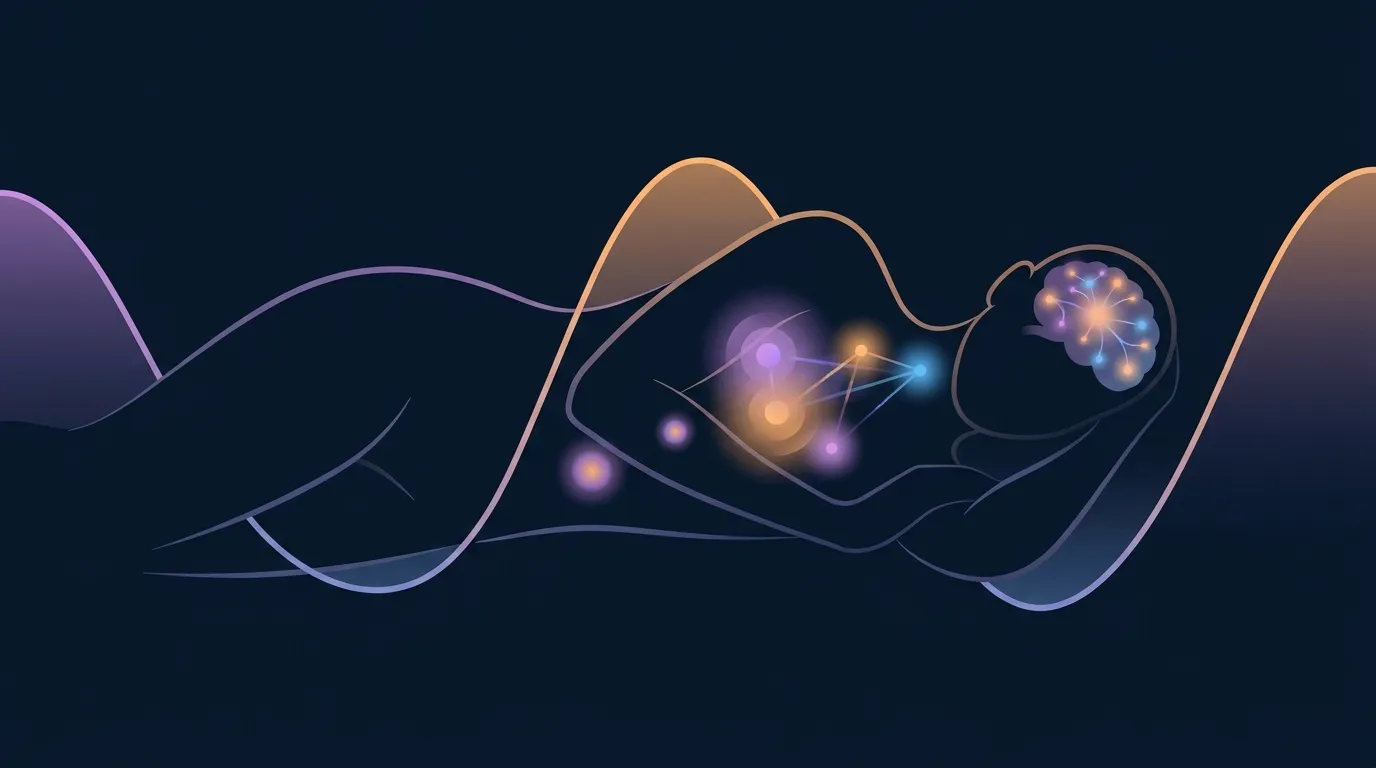 Conceptual illustration of nighttime hormone pulses including growth hormone and testosterone happening during deep sleep