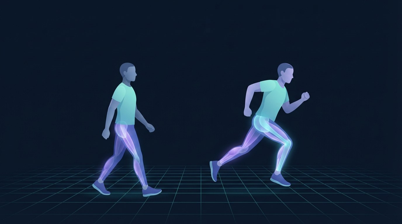 Side-by-side illustration of a walker and a runner of the same height showing the runner's much longer step length